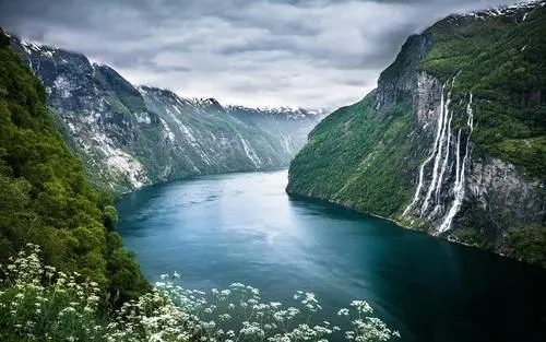 高效全自动无人化
